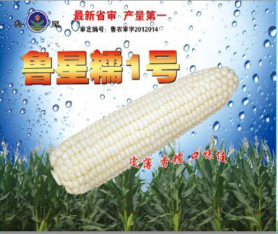 ������Ʒ�N����Ŵ1̖(h��o)ͨ�^��(gu��)�Ҍ���