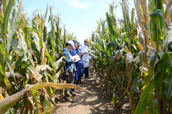 ʡƷ�N�������ҽM�����Sҕ��ʡ����ԇ�(y��n)����