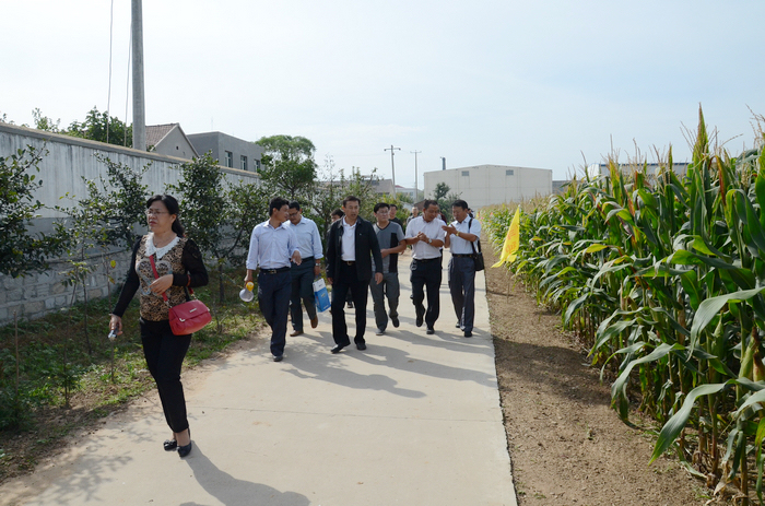 ���_(t��i)�зN���ИI(y��)�����S�^Ħ